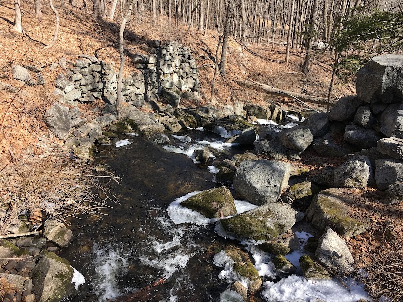 Orchard Hill Nature Center photo 4