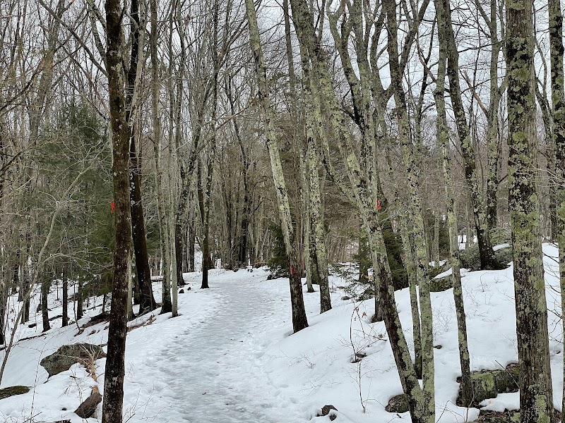 Orchard Hill Nature Center photo 5
