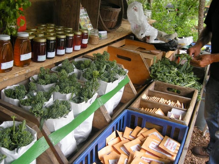Organics Today Farm photo 4