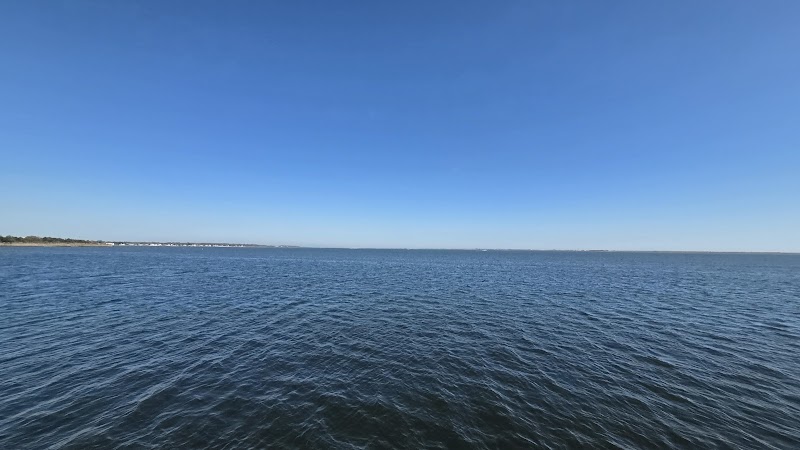 Osprey Park photo 3