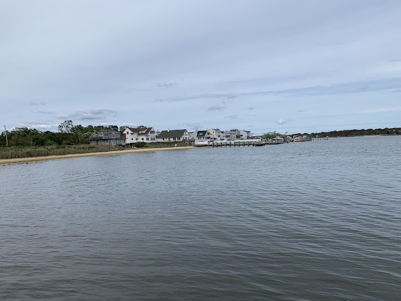 Osprey Park photo 4