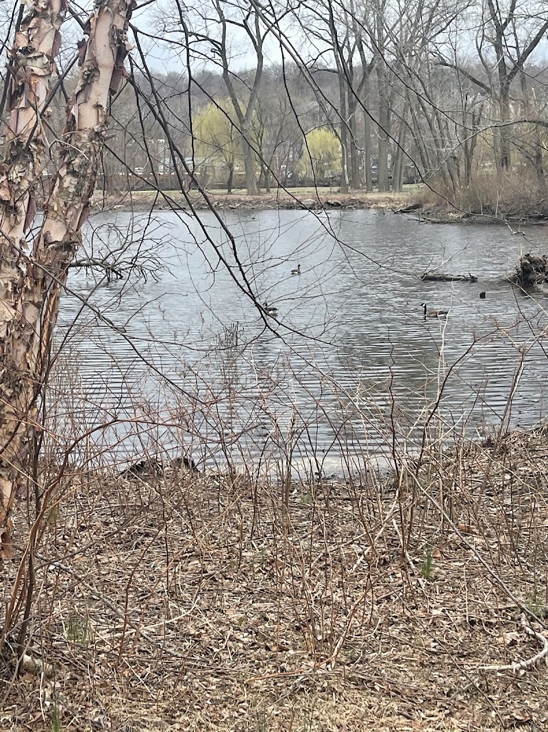 O'Sullivan's Island Recreation Park and Derby Greenway photo 4