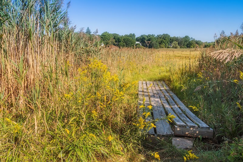 Otter Creek Preserve photo 2