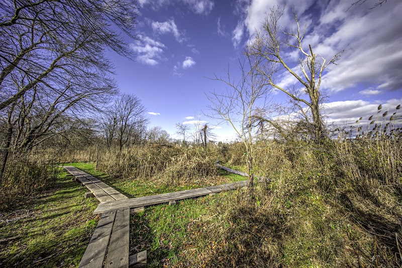 Otter Creek Preserve photo 3