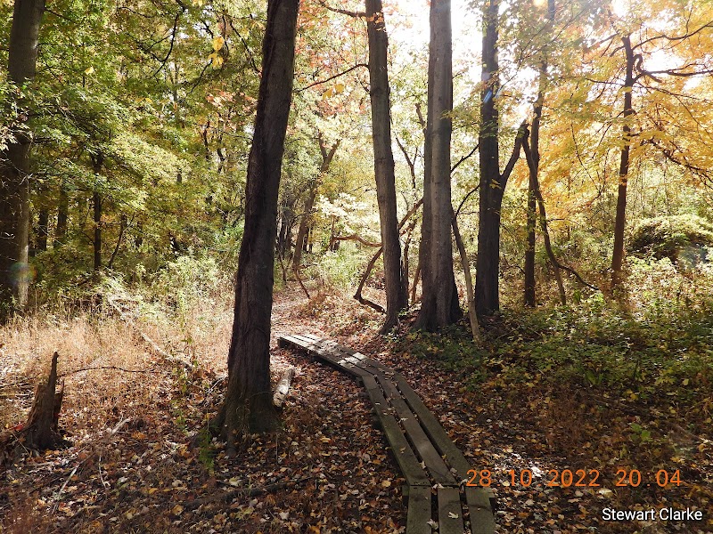 Otter Creek Preserve photo 5