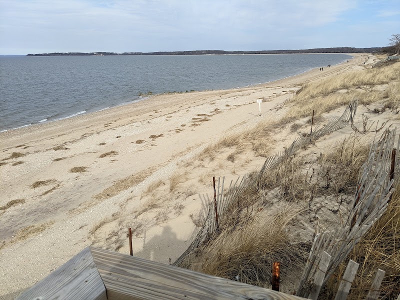 Otto Schubert Beach photo 1