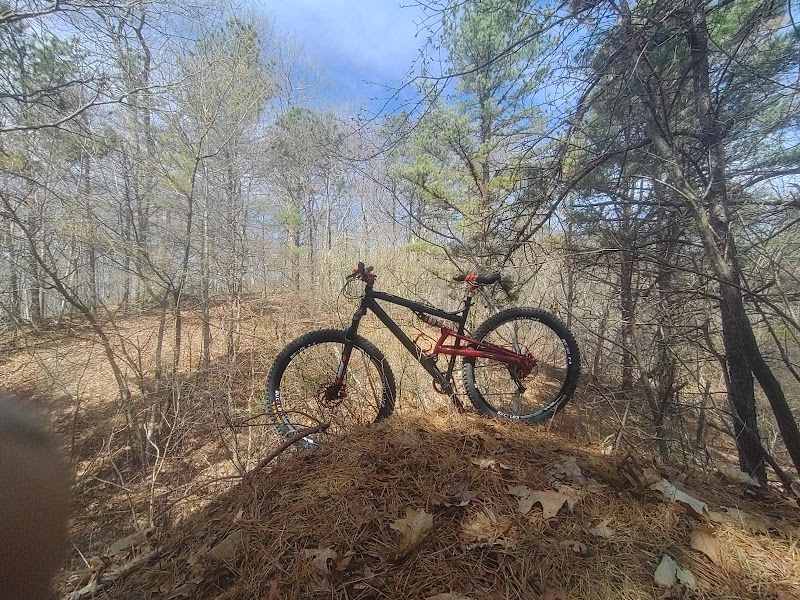 Overton Mountain Bike Trails photo 2