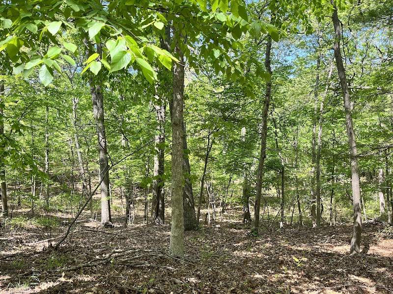 Overton Preserve photo 2