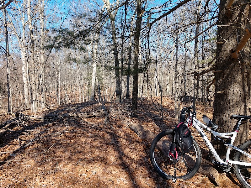 Overton Preserve photo 3