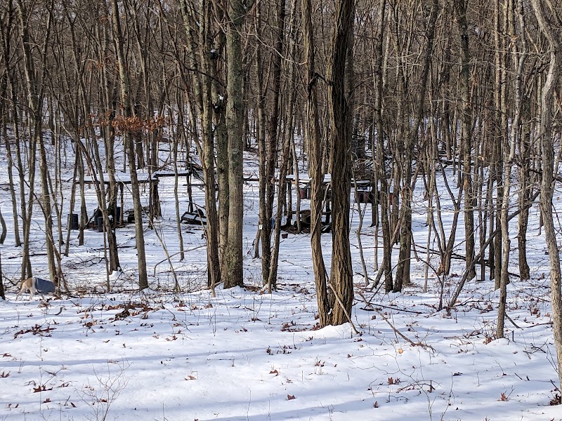 Overton Preserve photo 5