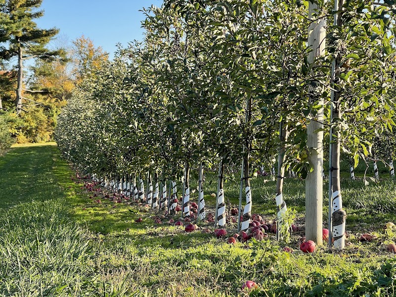 Owen Orchards photo 3