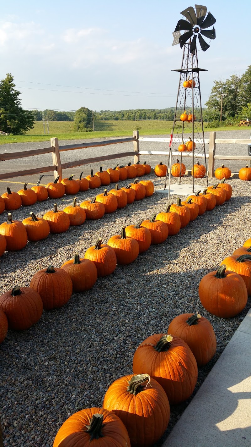 Owen Orchards photo 4