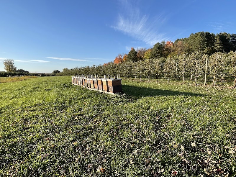 Owen Orchards photo 5