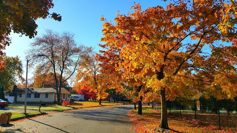 Oxhead Road Park photo 4