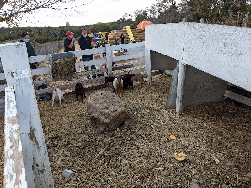 Pantaleons Farm photo 5