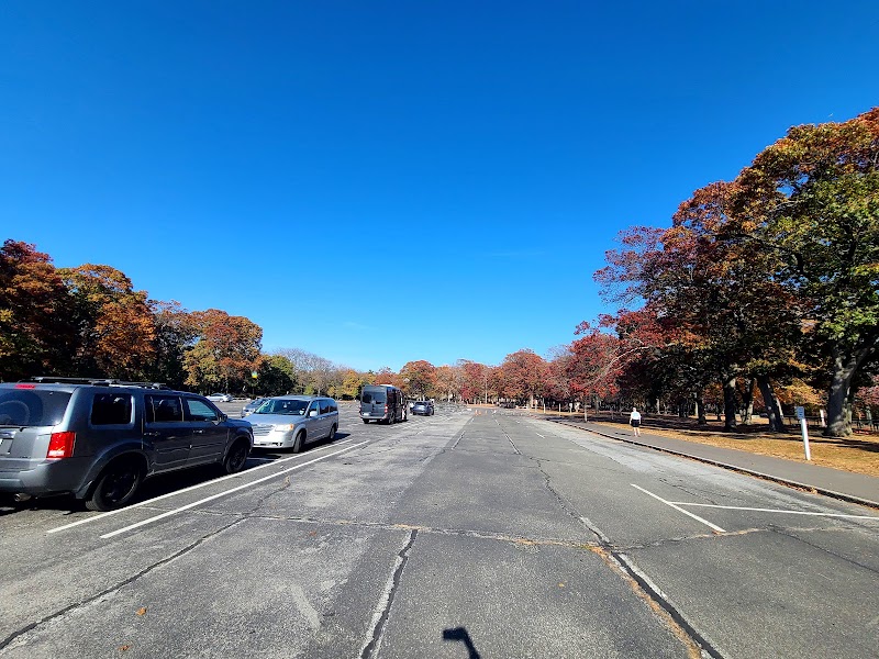 Park photo 3