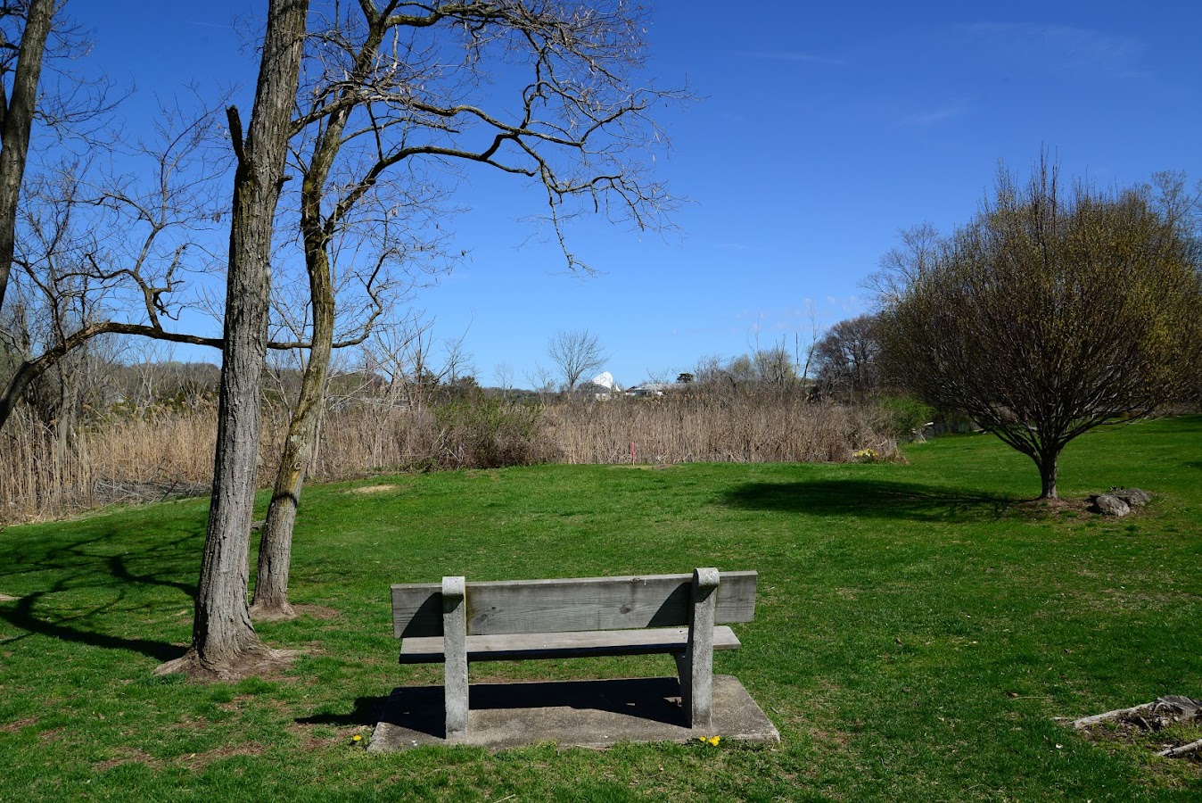 Pasacreta Park photo 4