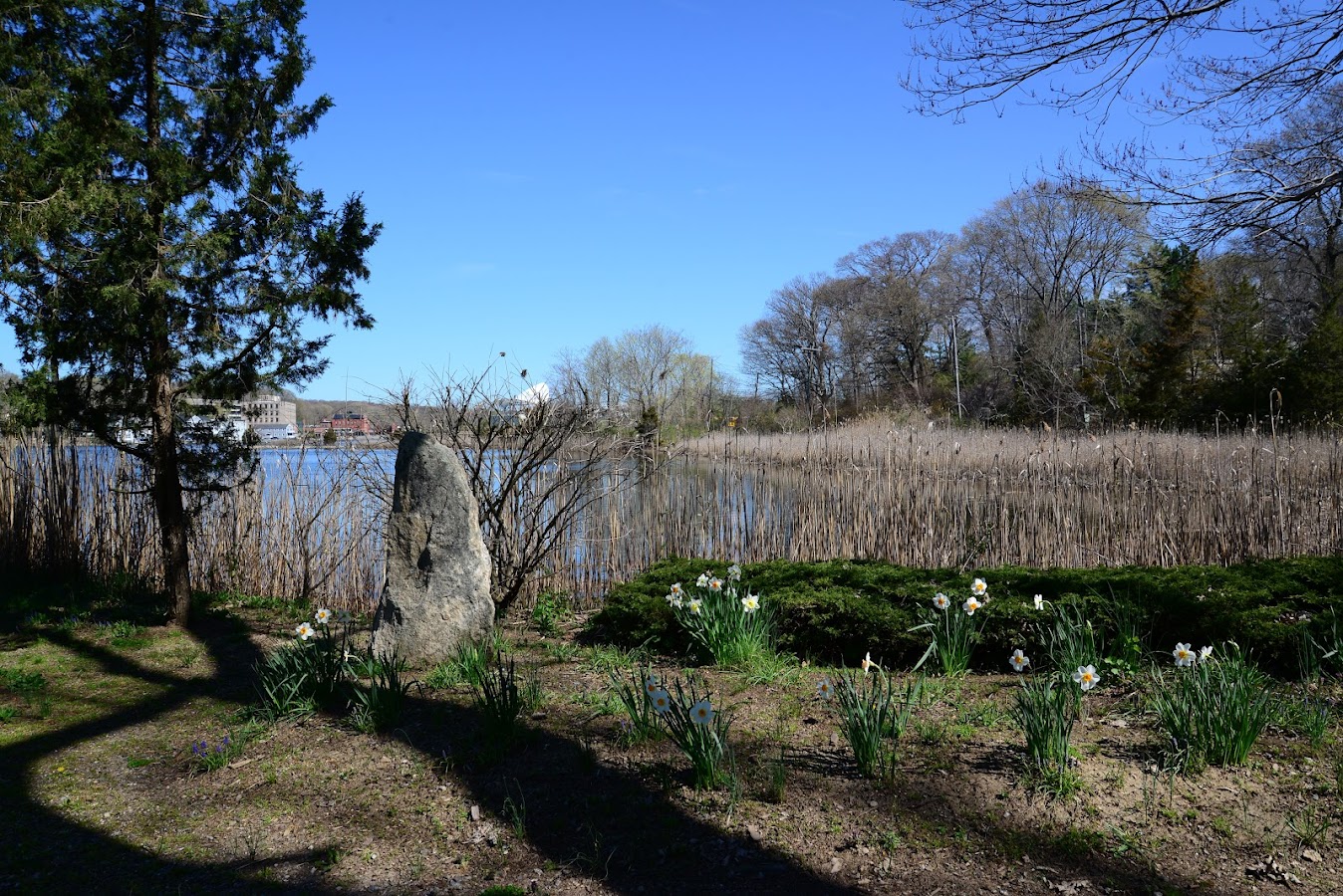 Pasacreta Park photo 5