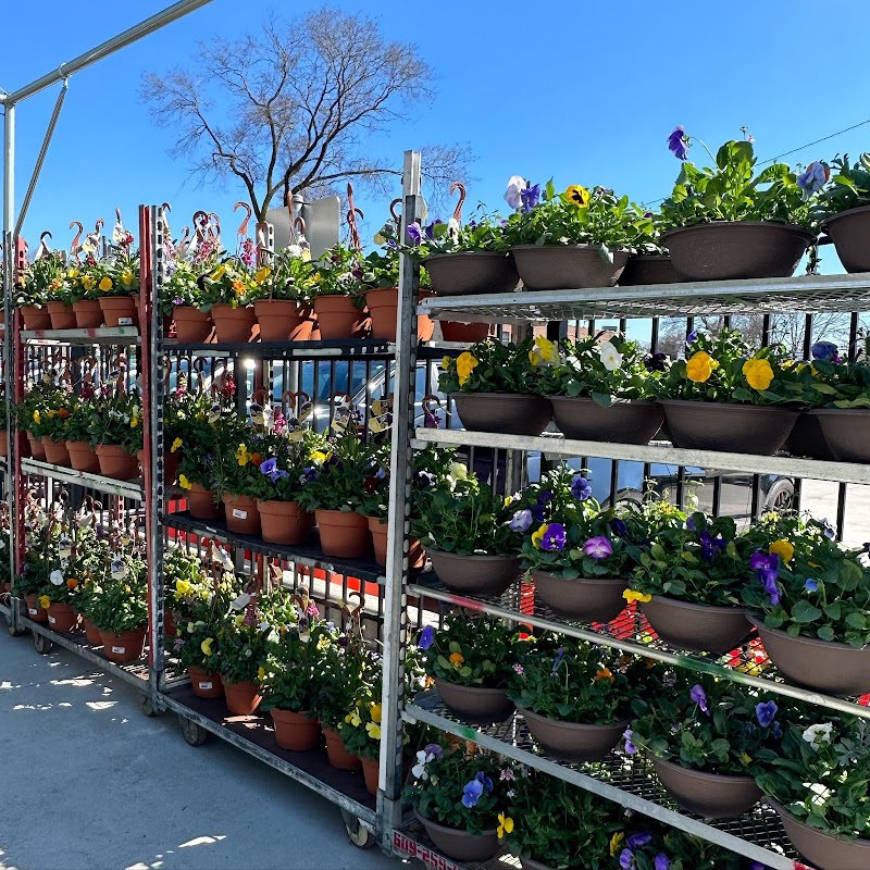 Pat's Farms Garden Center photo 3