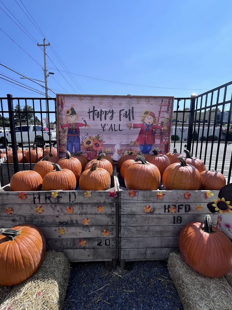 Pat's Farms Garden Center photo 4