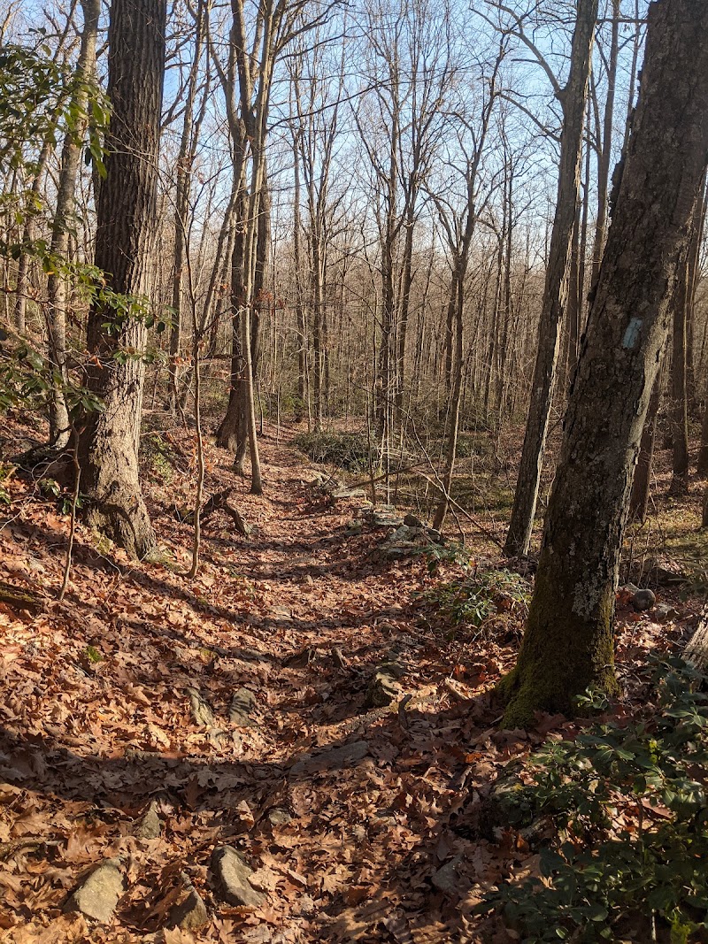 Paugussett State Forest photo 3