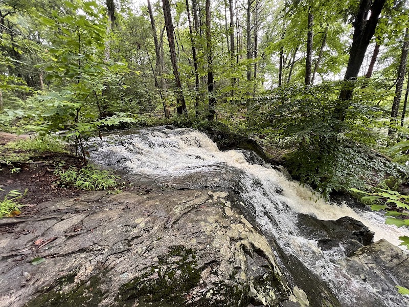Paugussett State Forest photo 5