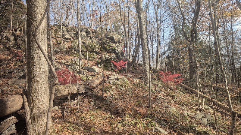 Paugussett State Forest - Parking Lot photo 5