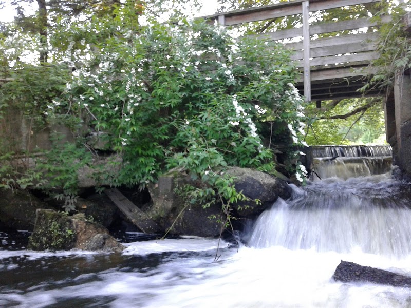 Paul T Given Town Park photo 4
