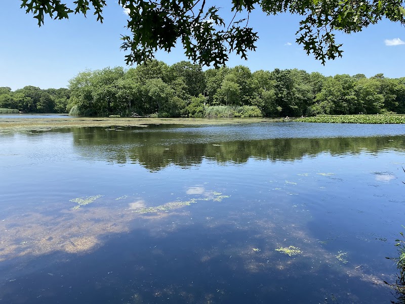 Pearsall Park photo 4