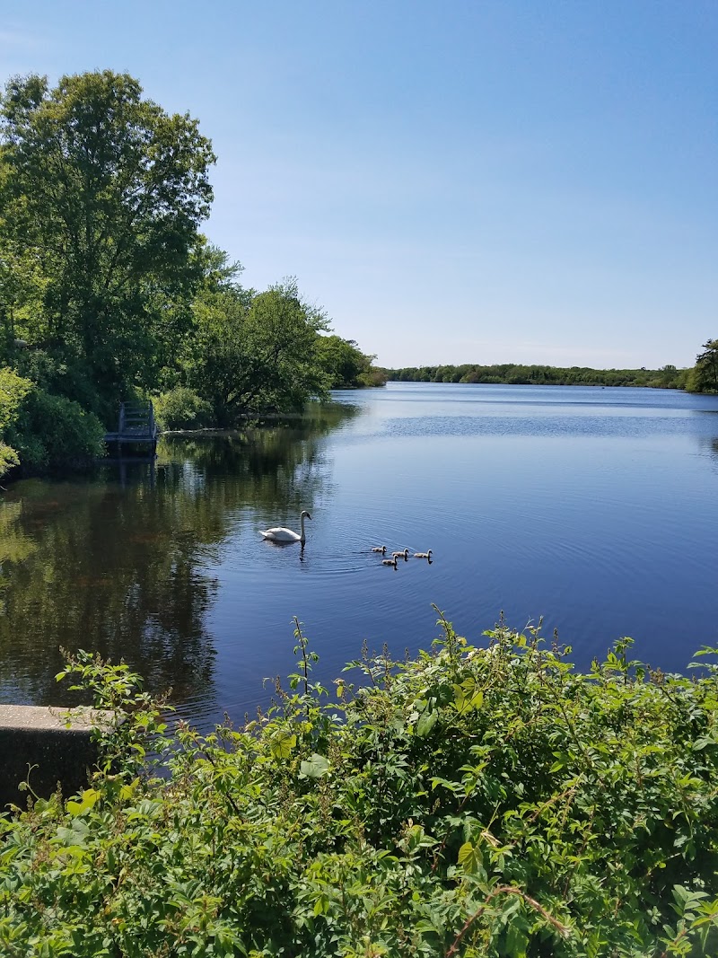 Peconic Bog County Park photo 1