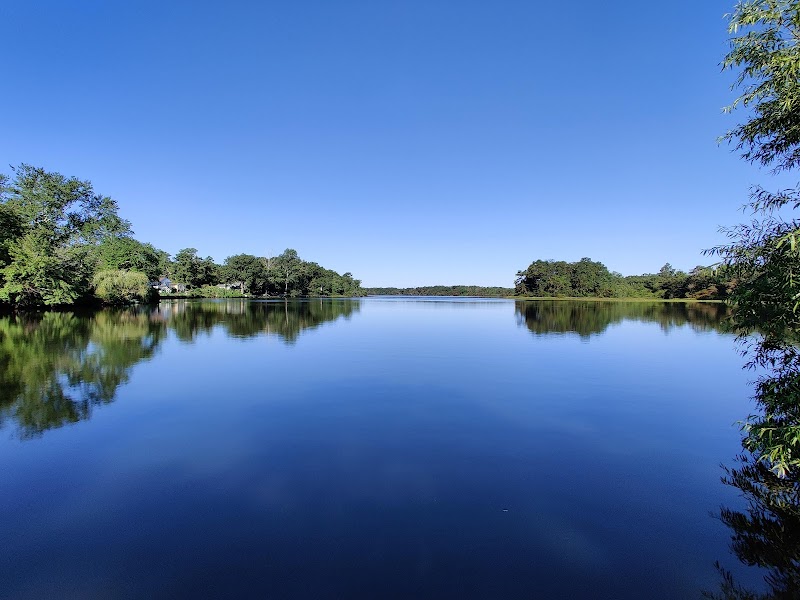 Peconic Bog County Park photo 2
