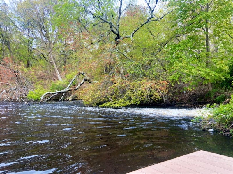 Peconic Bog County Park photo 3