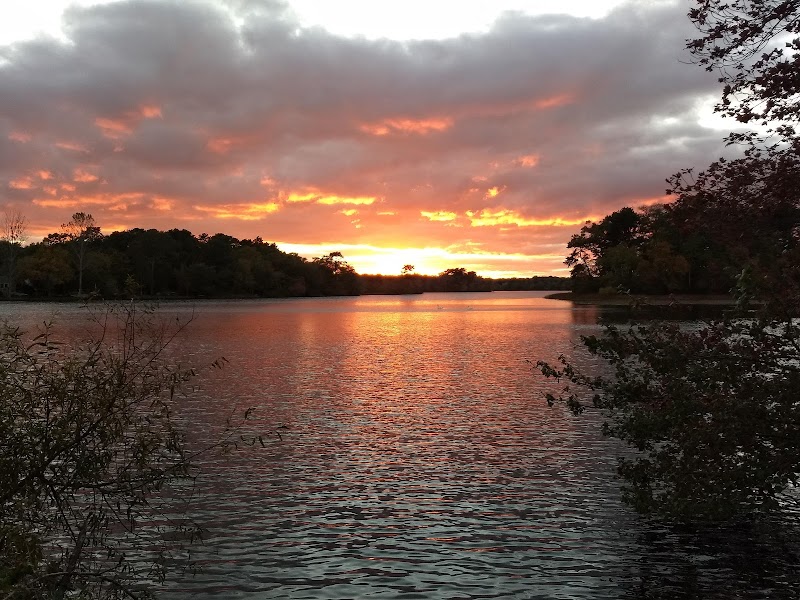 Peconic Bog County Park photo 4