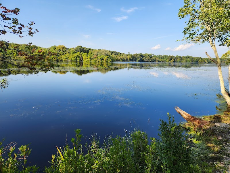 Peconic River Campground photo 3