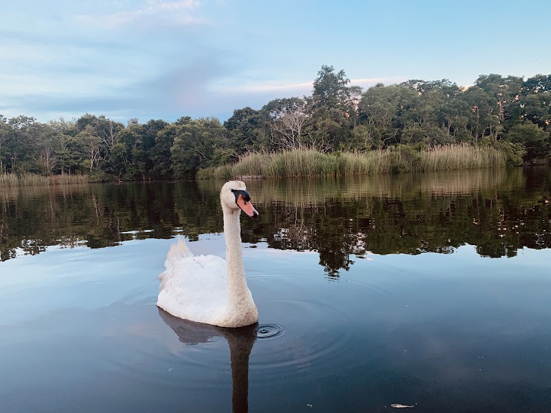 Peconic Riverfront Park photo 3