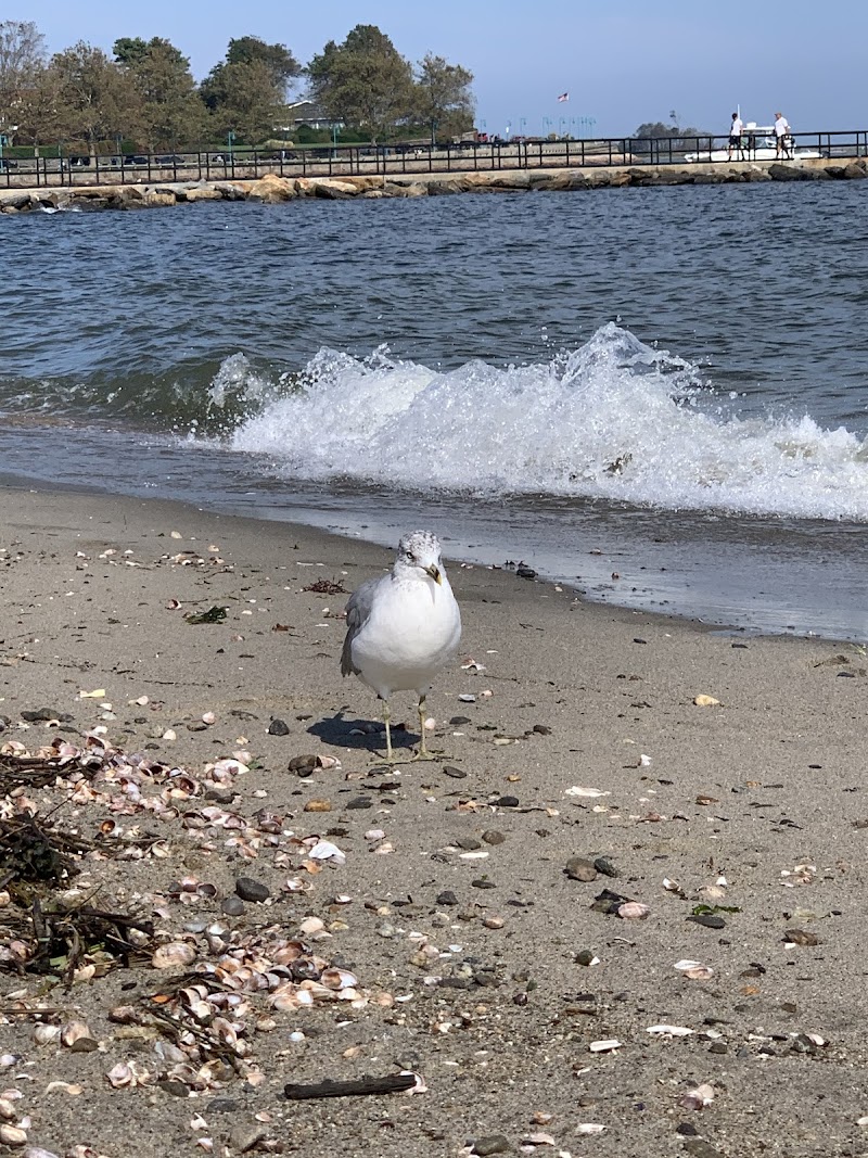Penfield Beach photo 5
