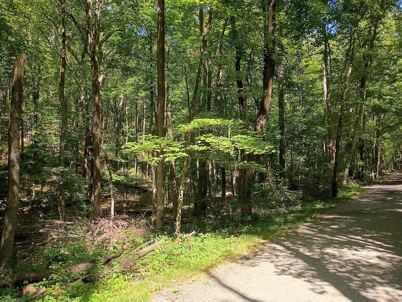 Pequonnock River Trail photo 5
