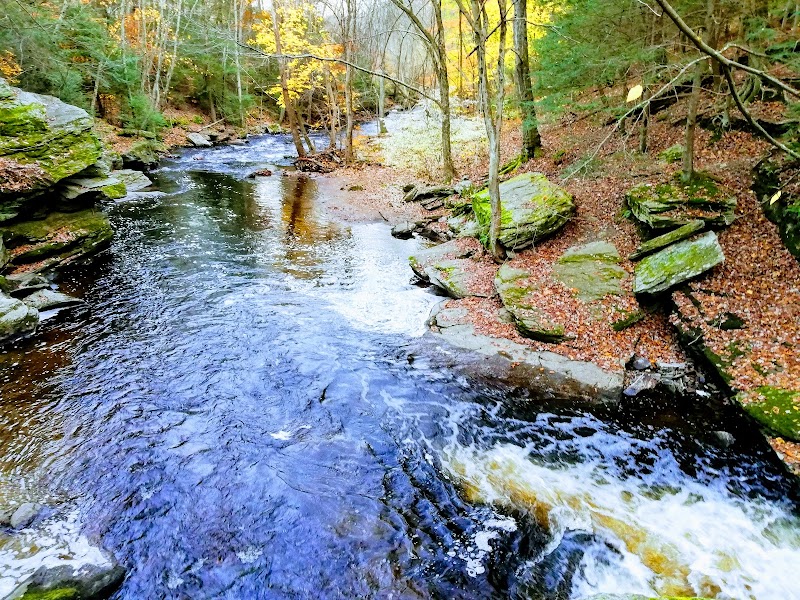 Pequonnock Valley Wildlife Management Area photo 4