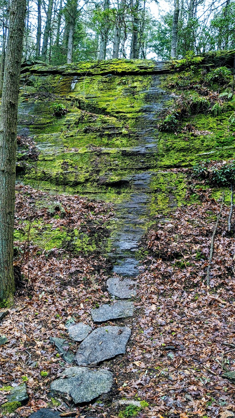 Pequonnock Valley Wildlife Management Area photo 5
