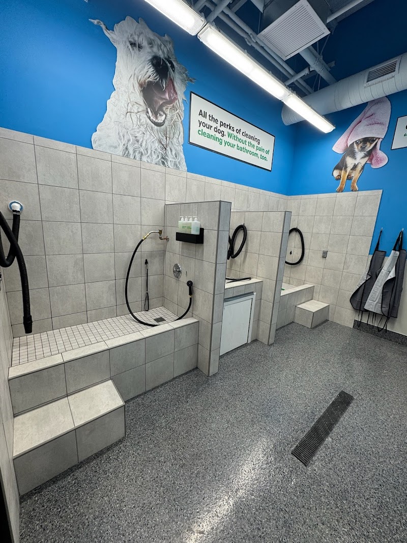 Pet Supplies Plus East Meadow photo 5