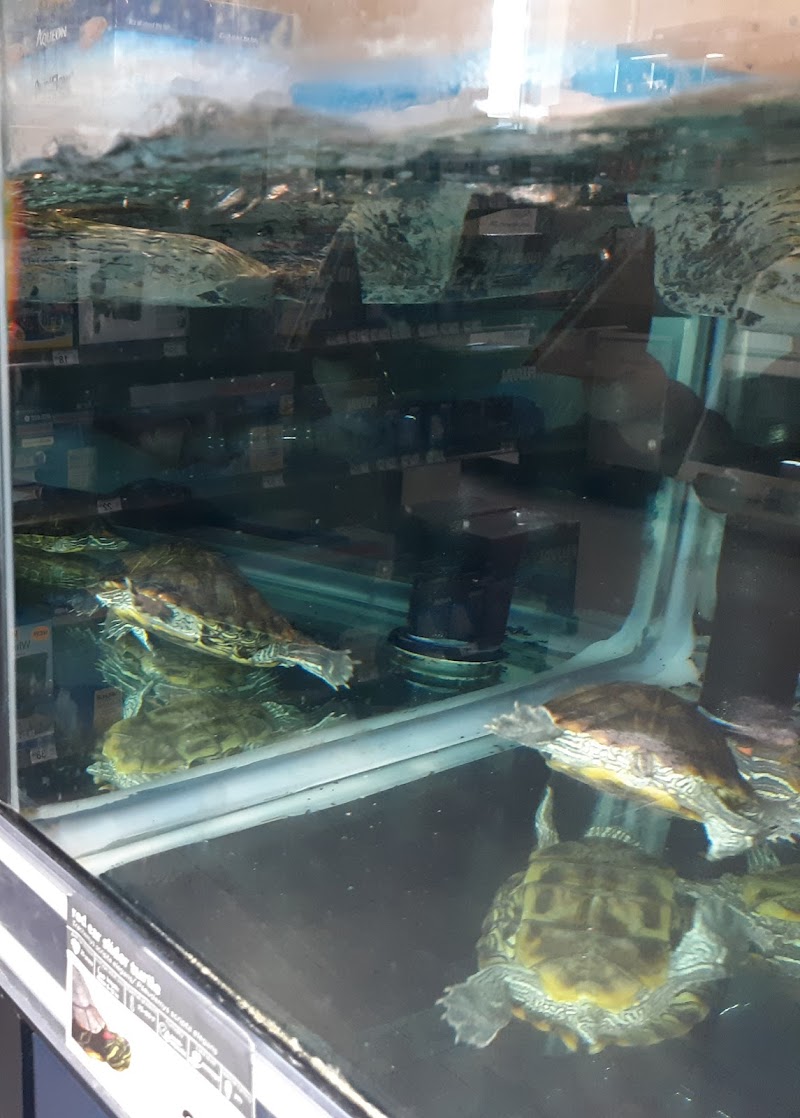 Petco photo 5