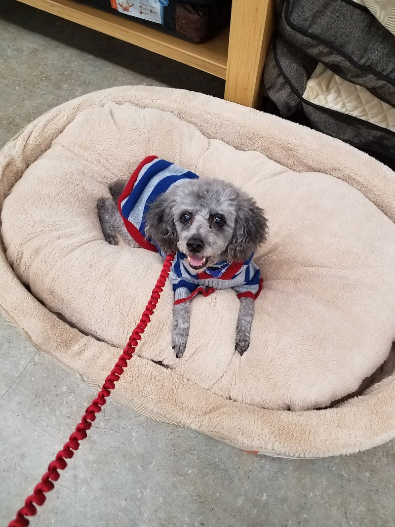 Petco photo 3