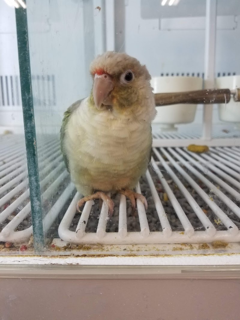 Petco photo 4