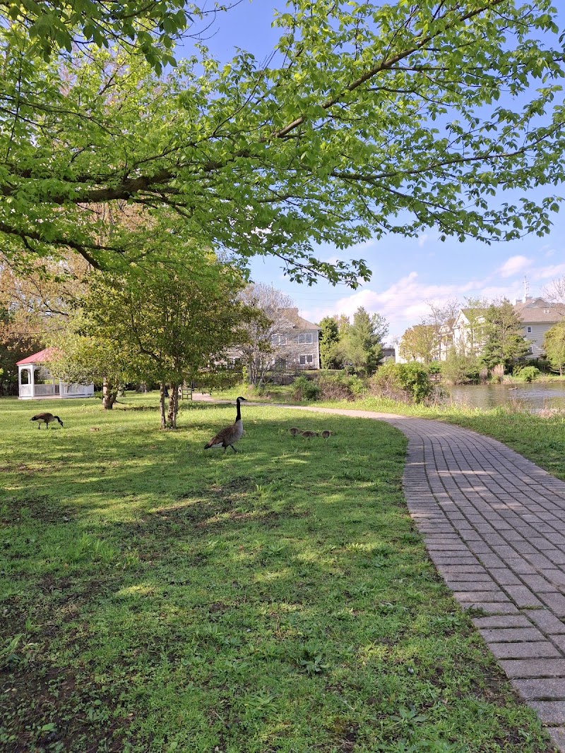 Peterkin Park photo 2
