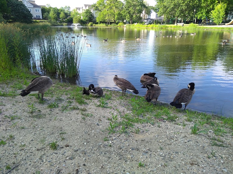 Peterkin Park photo 5