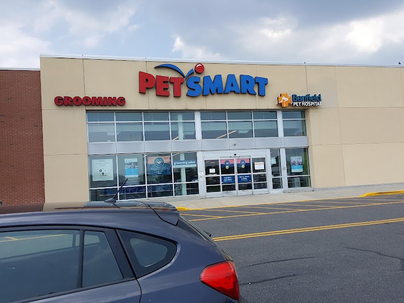 PetSmart photo 1