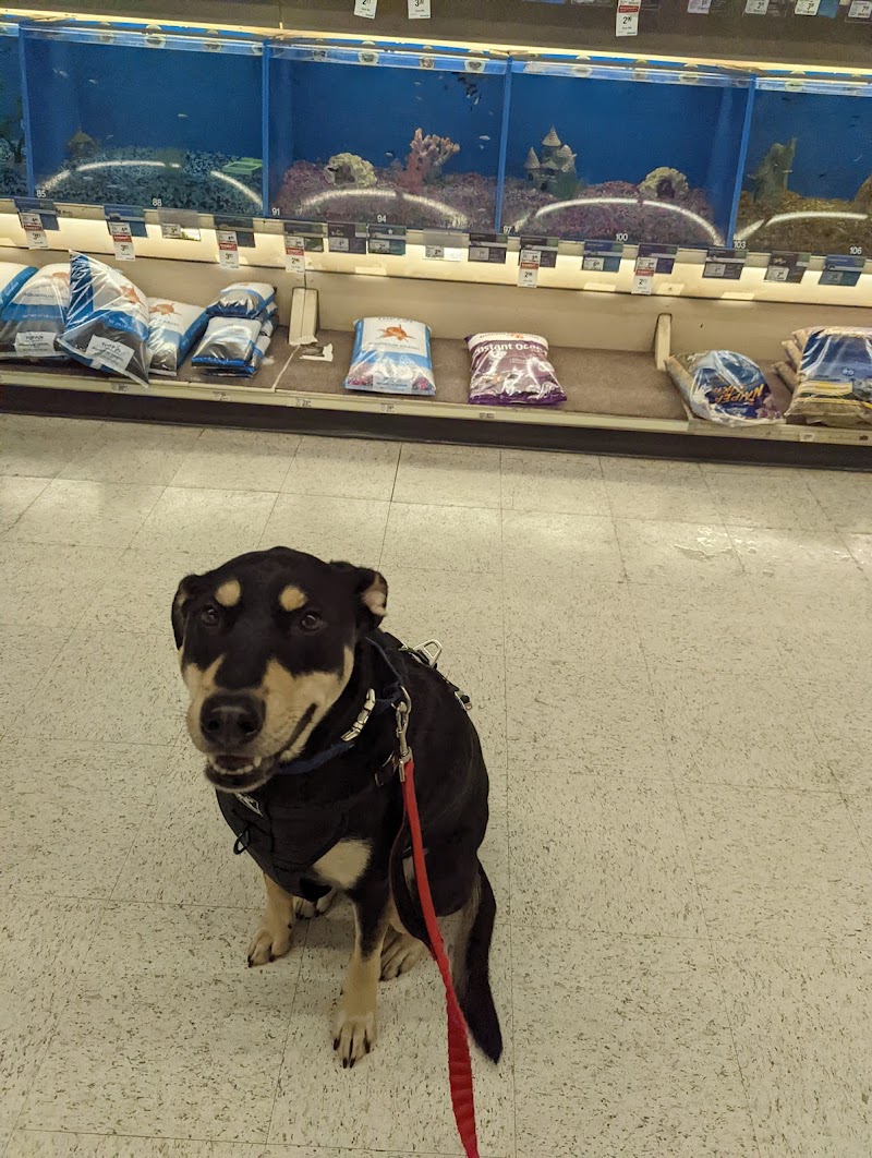 PetSmart photo 3