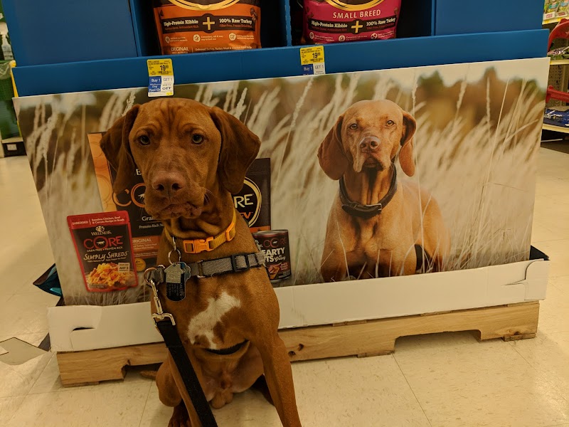 PetSmart photo 4