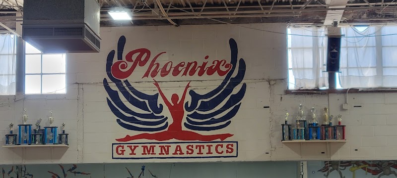 Phoenix Gymnastics Inc photo 4