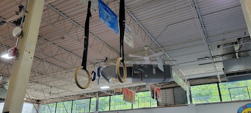 Phoenix Gymnastics Inc photo 5